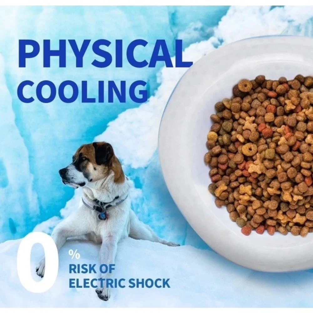 All For Paws Dog Bowl Chill Out Cooler Dish Medium 350 ML for‎ Pet Food or Water